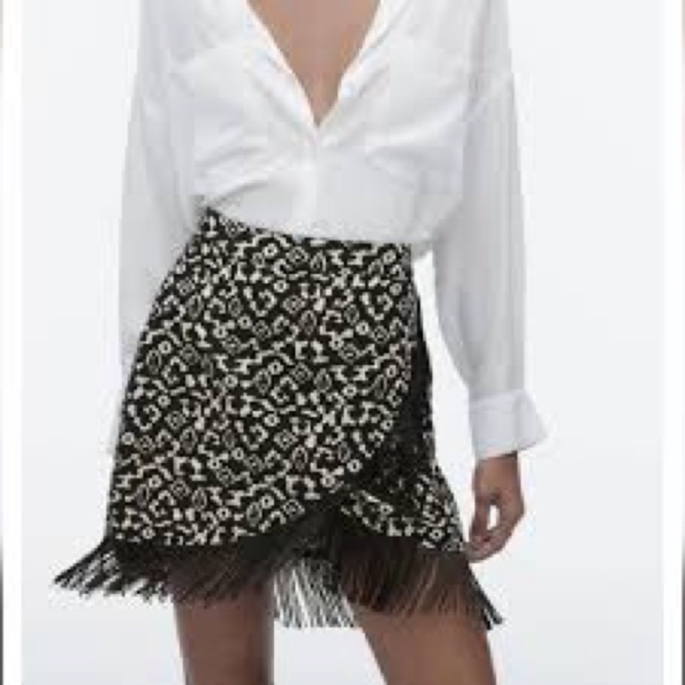 NWT Limited Edition Zara Skirt